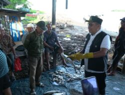 Bupati Takalar Tinjau Pelelangan Ikan Tradisional Lamangkia