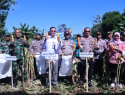 Wabup Takalar Lakukan Panen Raya Jagung bersama Forkopimda Takalar