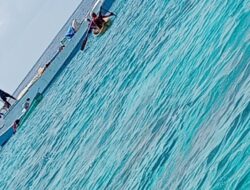 Ketua LSM Pemantik Ingatkan Polres Takalar Serius Tangani Kasus Pemboman Ikan di Tanakeke