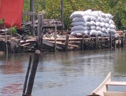 Penebangan Mangrove di Dusun Labotallua Masif, Ombak Sudah Menembus Pemukiman Warga