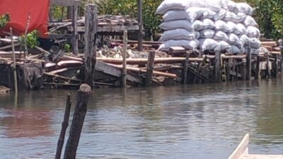Penebangan Mangrove di Dusun Labotallua Masif, Ombak Sudah Menembus Pemukiman Warga